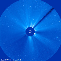 Images of the solar corona