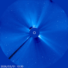 Images of the solar corona